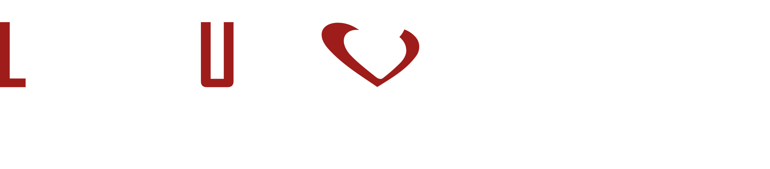 Level Up Volleyball logo